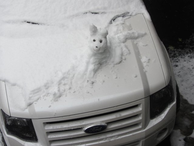 Snow dog on mom's hood 