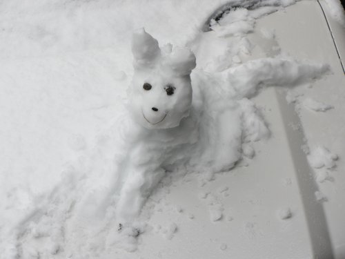 Snow dog by Jonny 