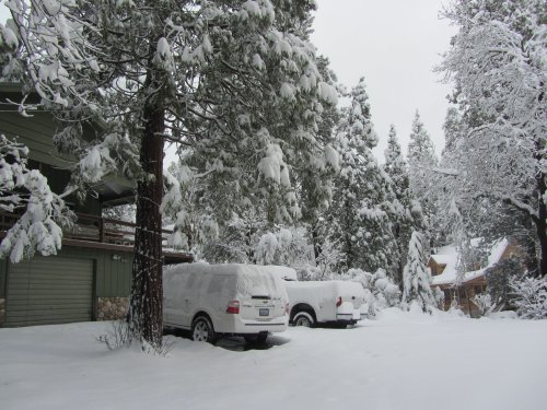 Snow covered vehicles 