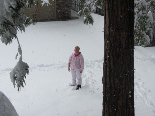 Missy amongst the snow flakes 