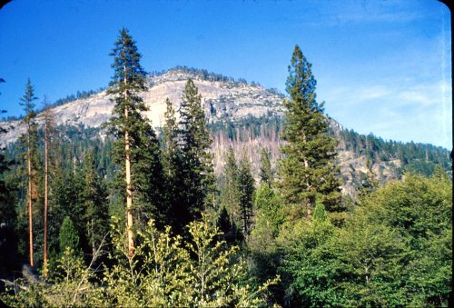 Wawona Dome from swimming hole 