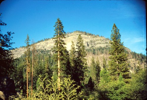 Wawona Dome from swimming hole 