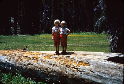 Diane & Linda on log 