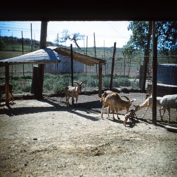 box48-49 - 3/13/60 to 5/1/60