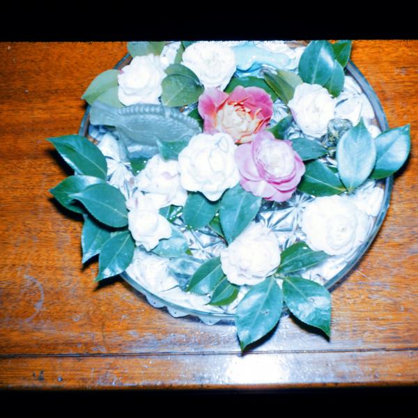 box6-7 - 2/18/54 to 5/23/54