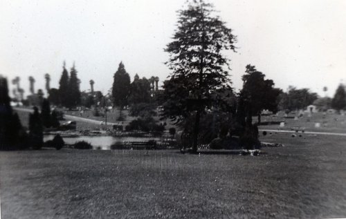 06-2
