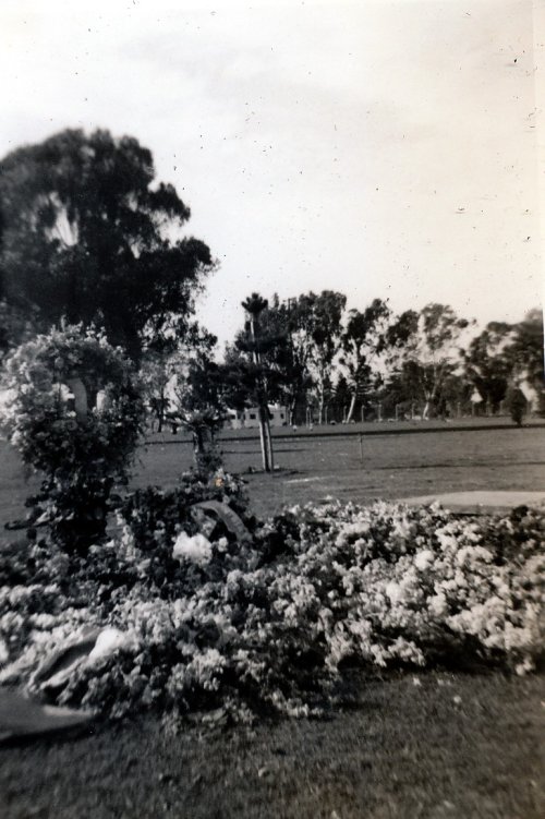 06-3