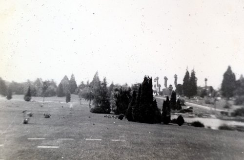 06-5