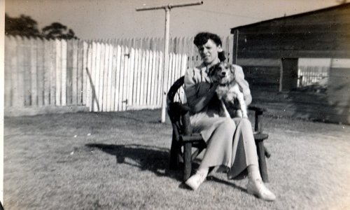 81