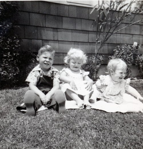 General Sherman Tree 