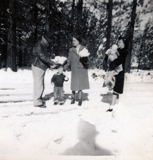 General Sherman Tree 