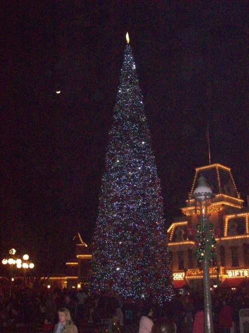 Disneyland's big Christmas tree 