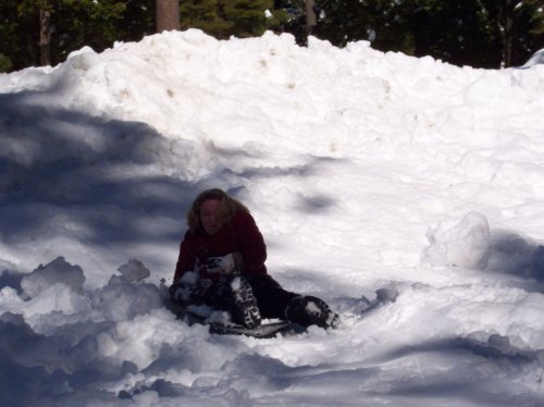 Melissa crashing in snow 